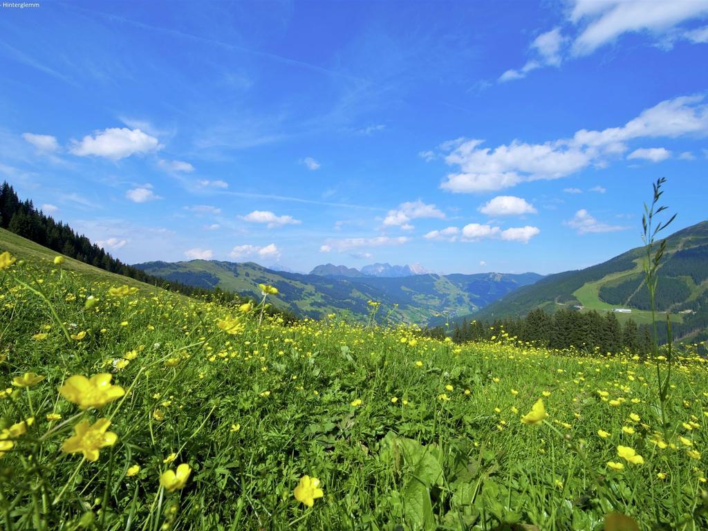 Bichl Saalbach-Hinterglemm